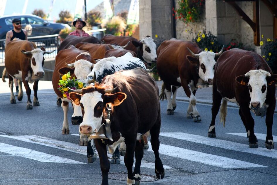 © Emmontagnée - ©JFVuarand