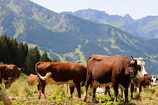 © Emmontagnée - JF Vuarand