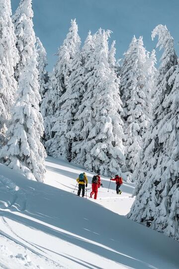 © Itinéraire de ski rando Le Morclan - L.Meyer - Châtel