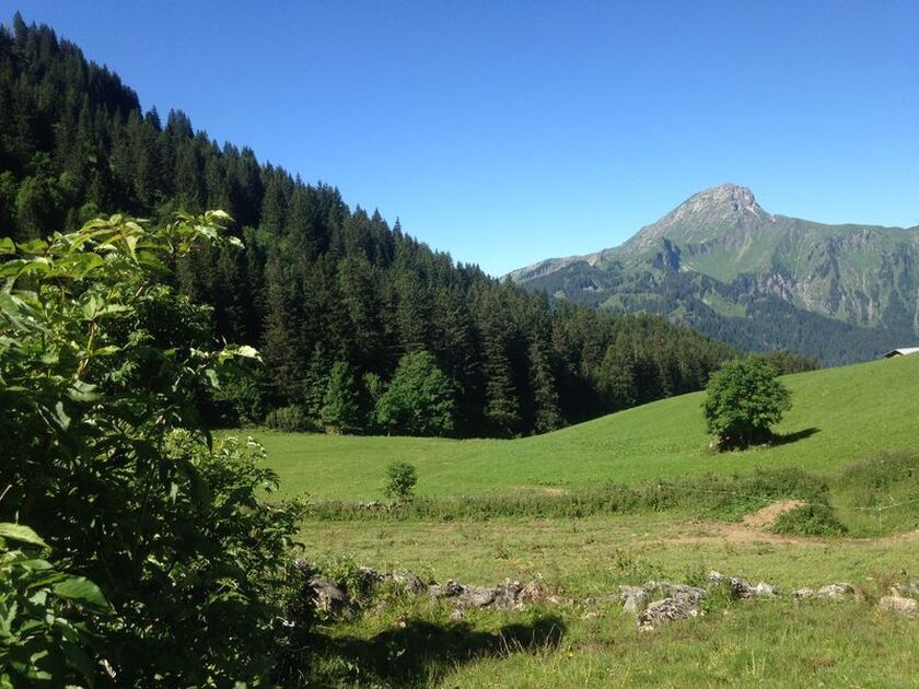 © Alpage de Barbossine - GAEC Barbossine