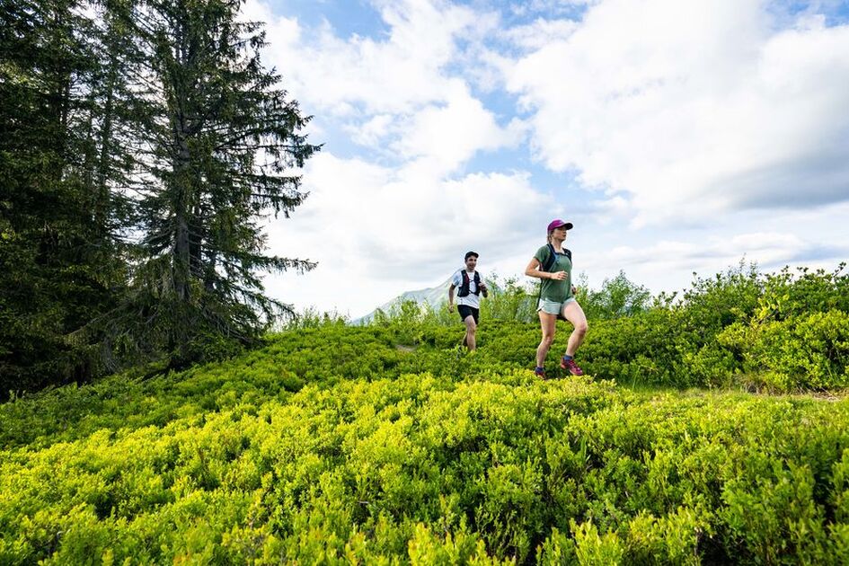 © Circuit 37 green- Tour du massif du Corbeau - L.Meyer- Châtel