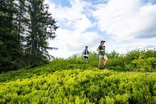 © Circuit 37 green- Tour du massif du Corbeau - L.Meyer- Châtel