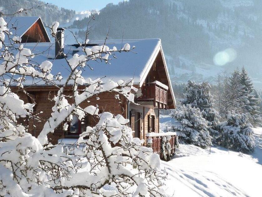 © Chalet le Châtel'Ain - Mme et M Van Ginkel