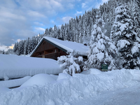© Chalet l'Orée du Lac - Patrice et Yveline Vuarand