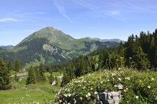 © Ecolovie - JFV