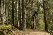 © Piste VTT Vink Line partie inférieure - L.Meyer - Châtel