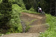 © Piste VTT Vink Line partie inférieure - Q.Slongo - Châtel