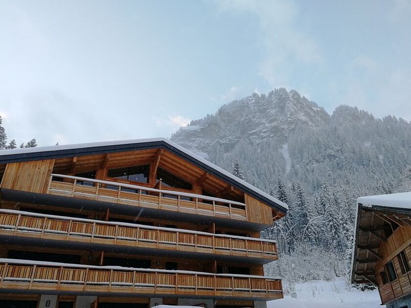 © La résidence  - 3 pièces Lodges de Célestin - Zechbauer Sandrine