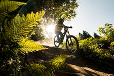 © Piste VTT Coup de fouet - L.Meyer - Châtel