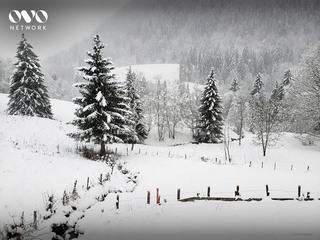© Chalet Q - Ovonetwork