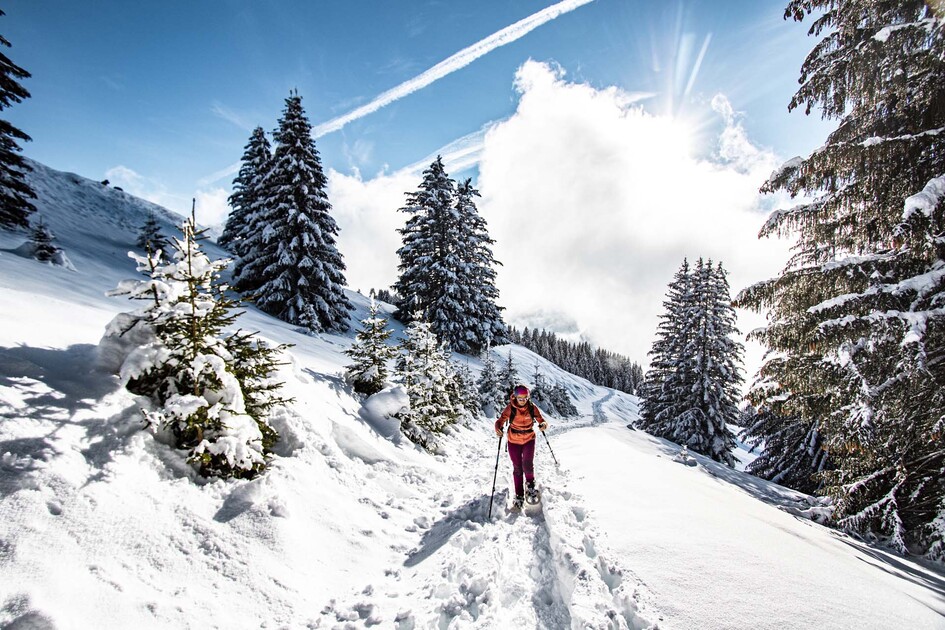 © Itinéraire Pas de Morgins - L.Meyer - Châtel