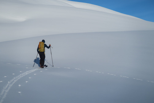 Splitboard