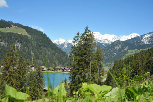 Lac de Vonnes