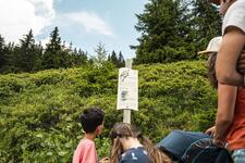 © Sentier des oiseaux - L.Meyer - Châtel