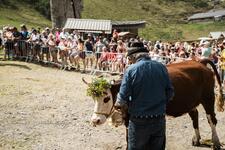 © La Belle Dimanche: the mountain pastures festival (48th edition) - L. Meyer