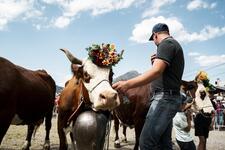 © La Belle Dimanche: the mountain pastures festival (48th edition) - L. Meyer
