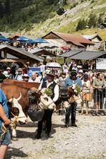 © La Belle Dimanche: the mountain pastures festival (48th edition) - L. Meyer