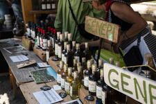 © La Belle Dimanche: the mountain pastures festival (48th edition) - Q. Slongo
