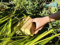 © La Vieille Douane Recrute - Service Culture et Patrimoine Mairie