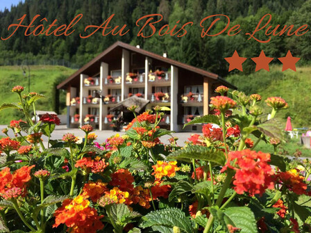 Hôtel Au Bois de Lune