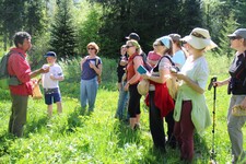 © Comprendre et utiliser les plantes_Châtel - Cédric Cordonnier