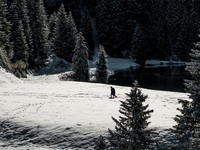 © Lake of la Mouille_Châtel - L.Meyer-Châtel