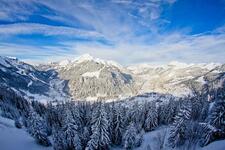 © Le Mont de Grange_Abondance - S.Chochard
