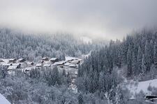 © 1-bedroom apt. - L'Emeraude_Châtel - M.Chenu