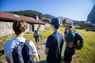Alpine pastures in Ubine