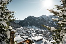 © 2 pièces - Perce Neige_Châtel - L.Meyer-Châtel