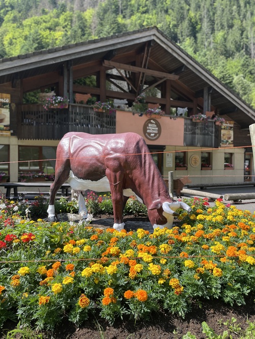 Maison du Fromage Abondance