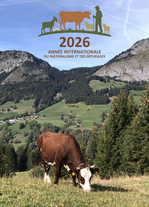 © Regards croisés sur les alpages: screenings and expert exchanges_Abondance - Pôle Culturel d'Abondance