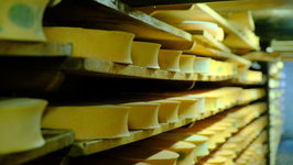 © Regards croisés sur les alpages: screenings and expert exchanges_Abondance - Mairie Abondance