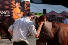 © Regards croisés sur les alpages: screenings and expert exchanges_Abondance - Mairie Abondance