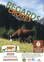 © Regards croisés sur les alpages: screenings and expert exchanges_Abondance - Pôle Culturel d'Abondance
