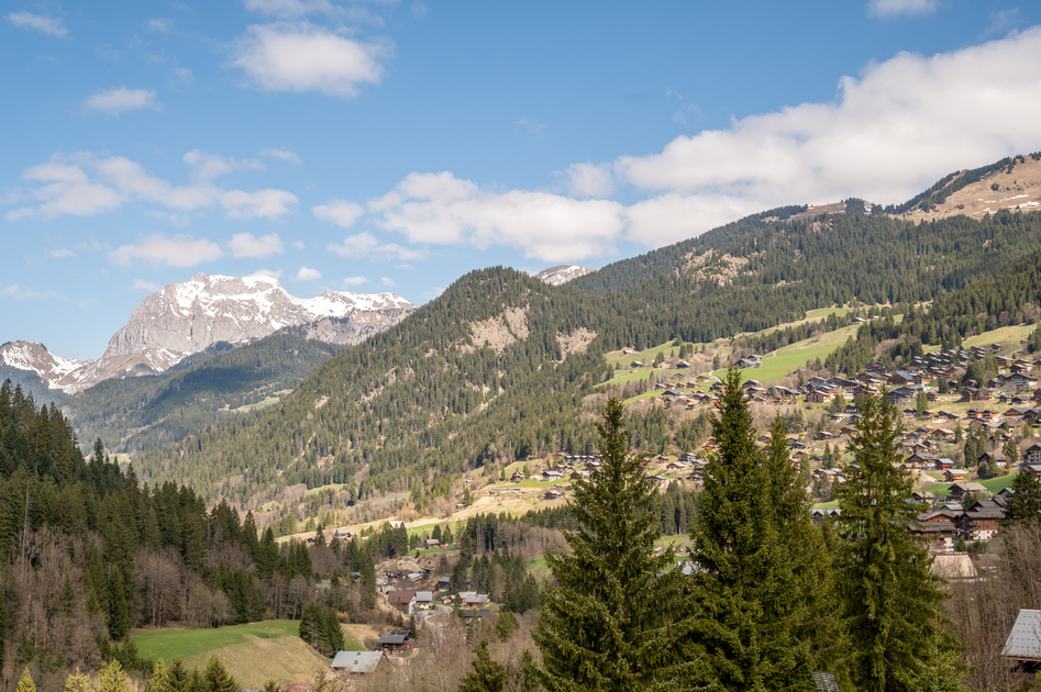 © 5 pièces - Les Chalets des Freinets - Doux Refuge_Châtel - Schneider