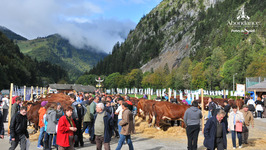 © Foire d'autonme - Abondance - Patrick Brault - Office de Tourisme Abondance