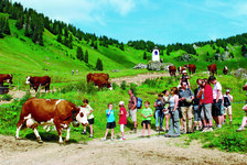 © Wandeling en proeverij Alpenboerderij Barbossine. - ©JMGouédard