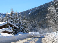 © 4 pièces les Merisiers - Grillet Aubert Patricia