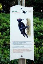 © Sentier des oiseaux - Châtel Tourisme