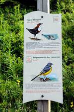 © Sentier des oiseaux - Châtel Tourisme