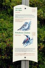 © Sentier des oiseaux - Châtel Tourisme