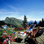 © Restaurant d'altitude Bistro du Col de Bassachaux (La Haute Bise) - Eliophot