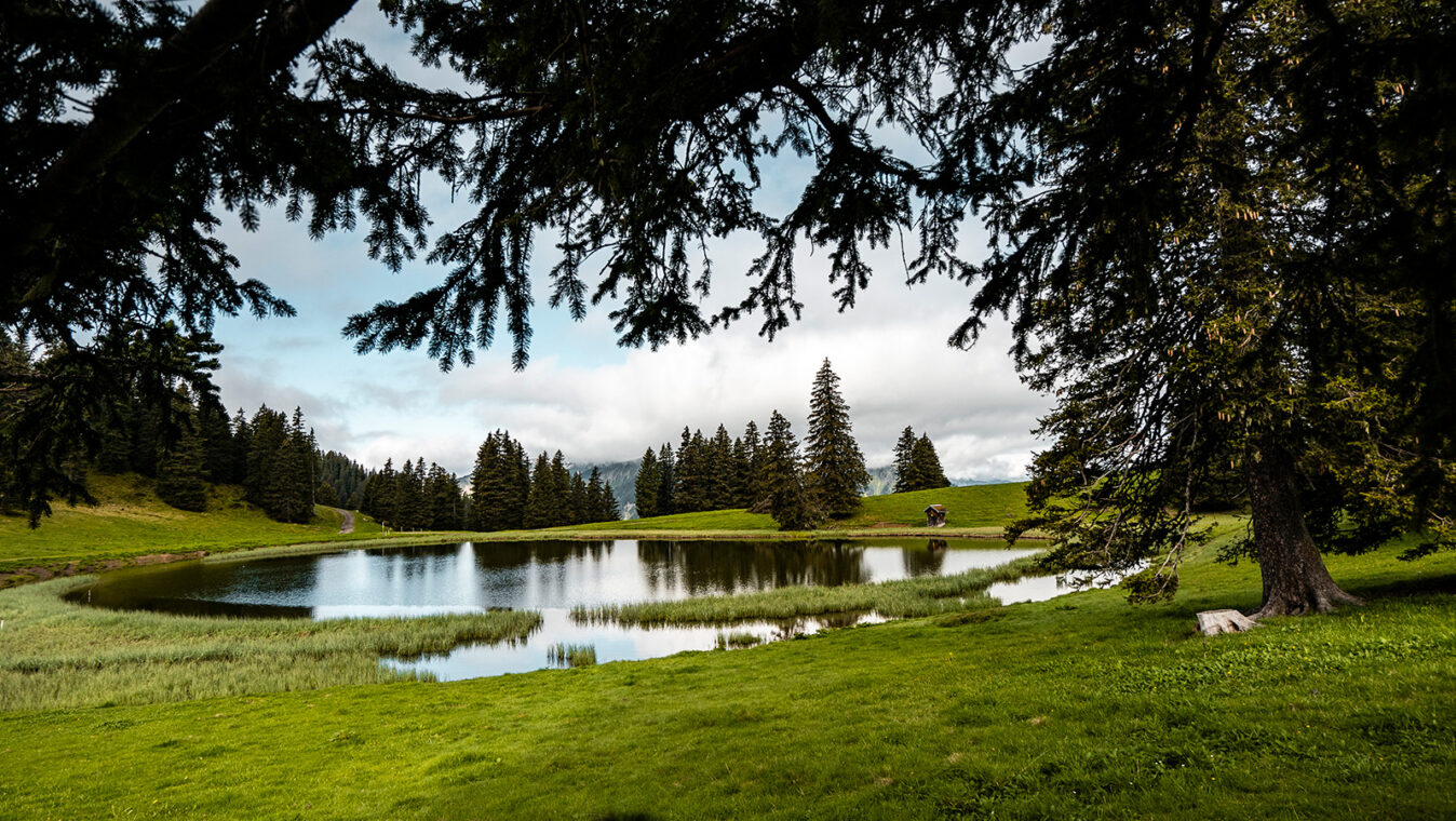 Châtel Lac de Conche