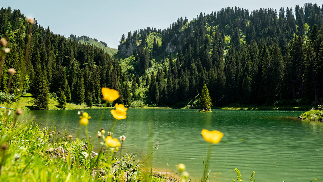 Châtel Lac de la Mouille