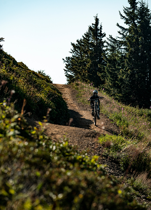 Bike park Châtel Panoramic