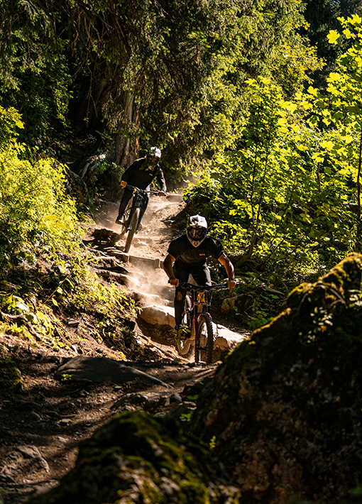 Bike park Châtel Air Voltage