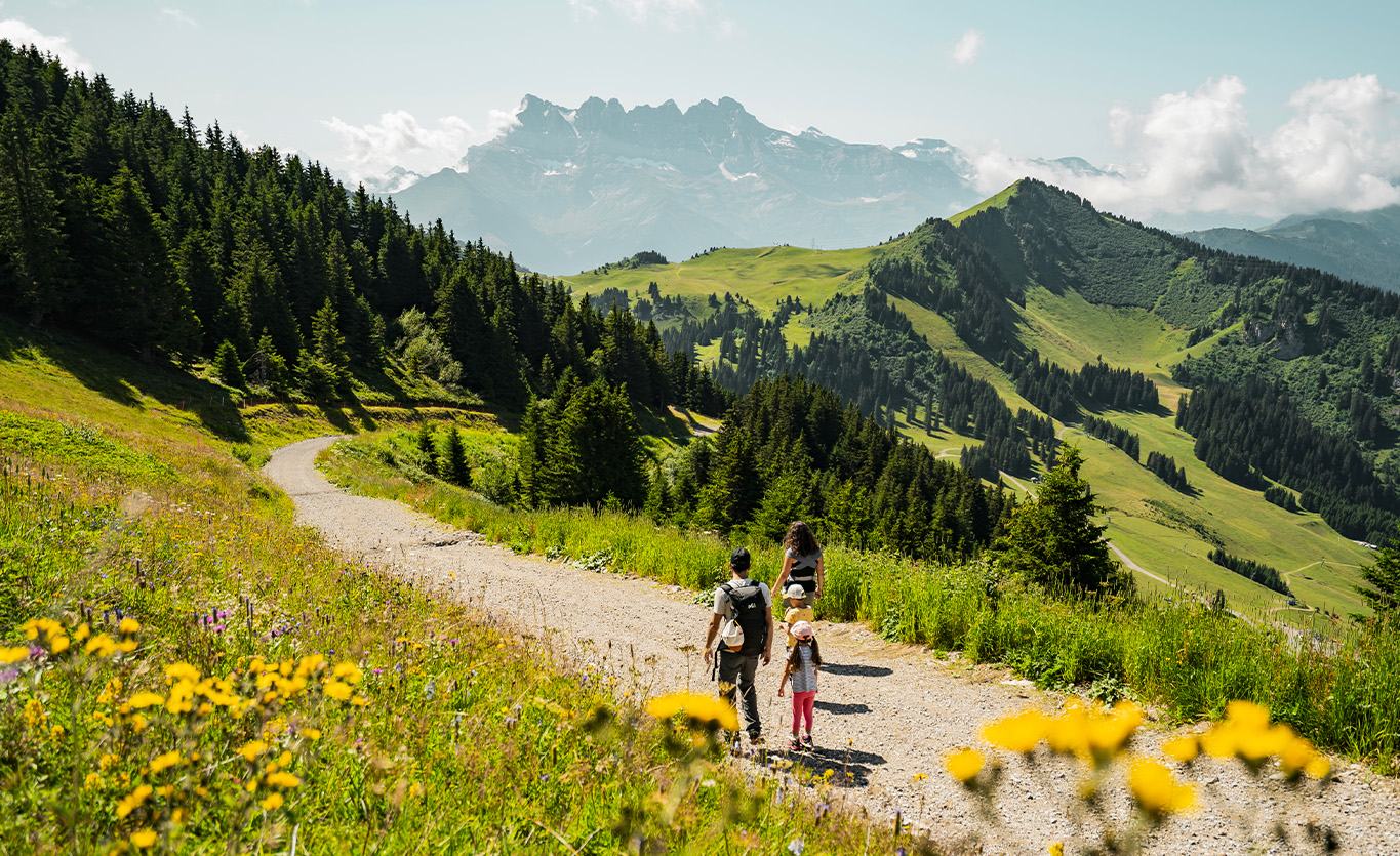 Home été bloc 3 domaine rando