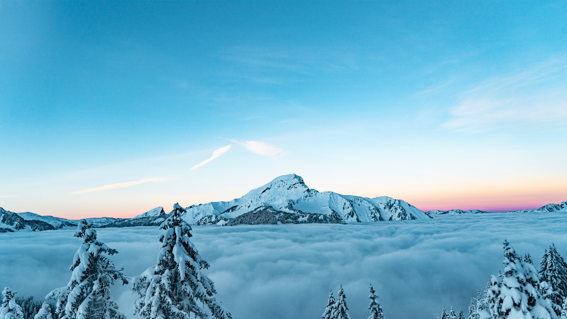 Home été lien vers hiver 1