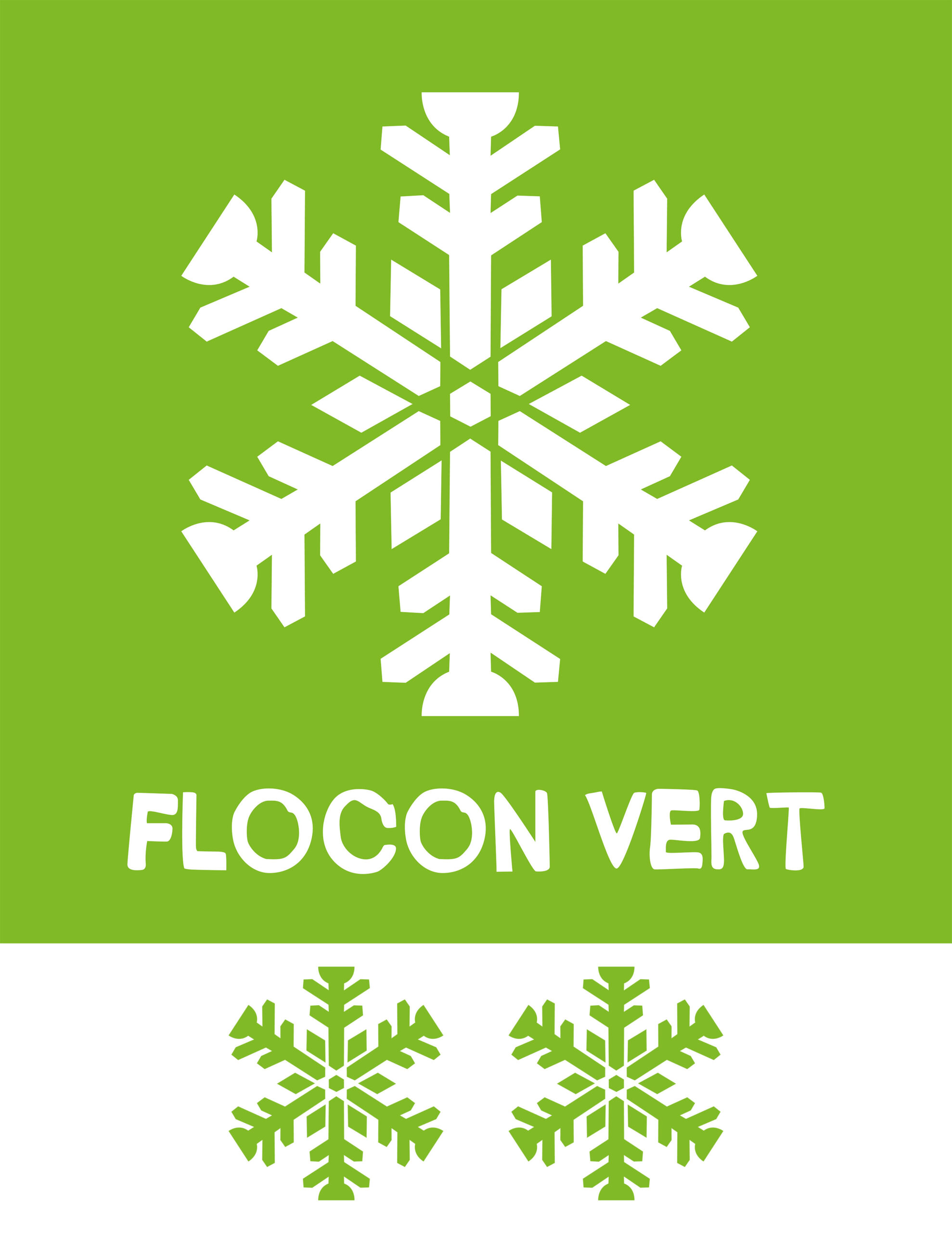Logo_Flocon-Vert_2-flocons
